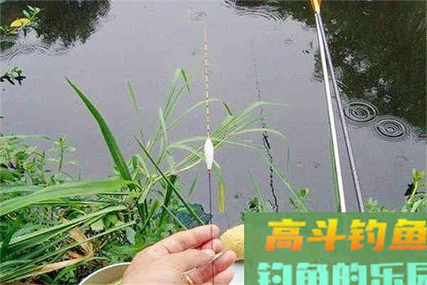 野钓调漂调平水有那些好处？