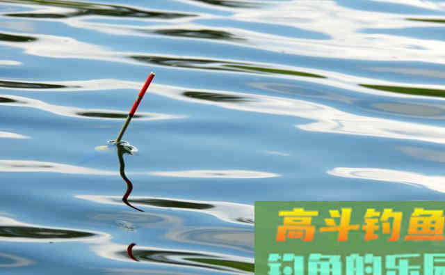 自然水域作钓会调漂就能上鱼吗？学会这两点野钓调漂上鱼多