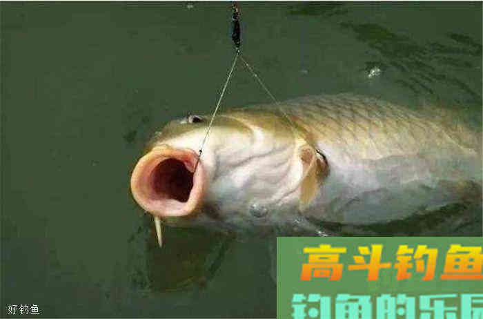 台钓怎么调四钓二以及特殊情况下的改动