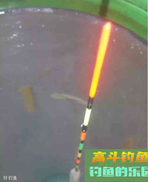 半水调漂挂蚯蚓饵的7个步骤