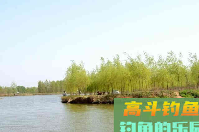 野钓调漂，真没有那么多讲究，只要会钓钝抓死口