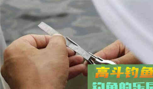 野钓怎么带饵调漂？