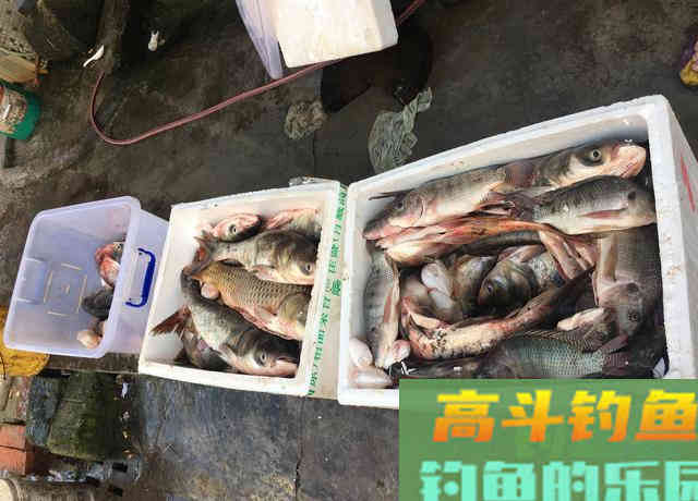 有关调漂的这几个技巧