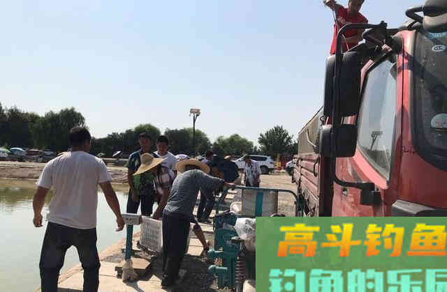 黑坑钓回锅鱼，高手的实用调漂技巧
