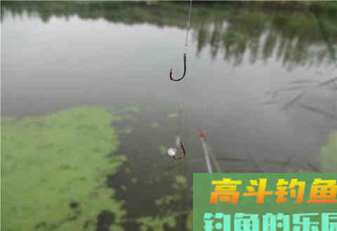钓鱼人必须要知道空钩、无口及有关浮标的语言