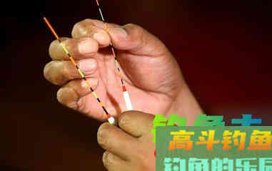 调几钓几到底什么意思？看了你就明白
