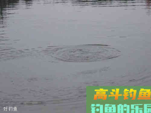钓鱼调漂如何正确地调灵钝