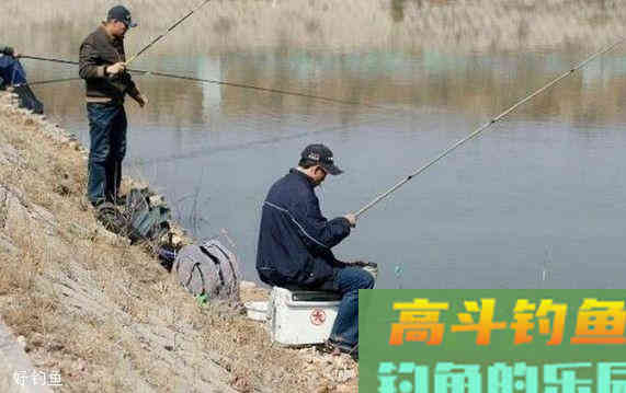 怎么看钓灵还是钓顿？20年老钓友两句话总结