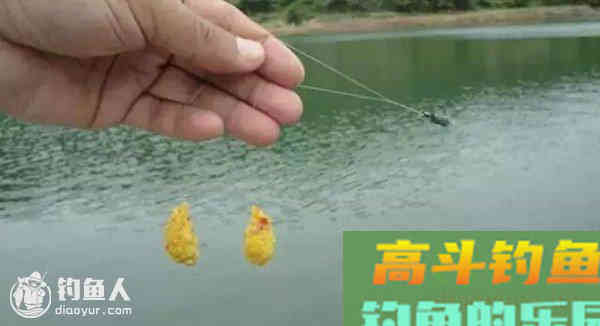 台钓的调四钓二与黑坑的运用见解