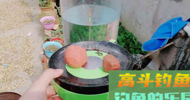浮漂的调钓，到底何为灵？何为钝？