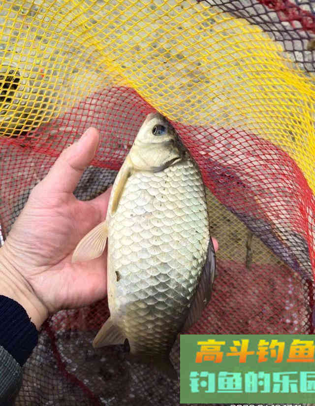钓死口到底是什么漂相？调漂不同漂相也不同