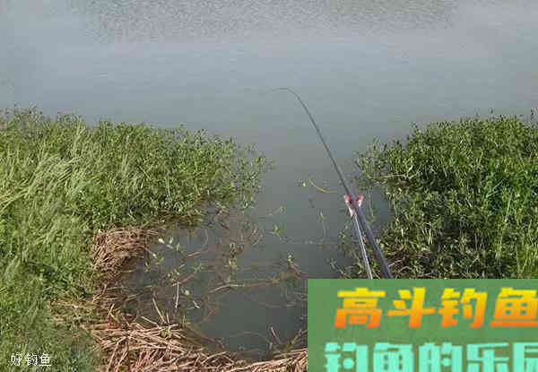 调漂如何精确找底？野钓水底复杂如何应对？