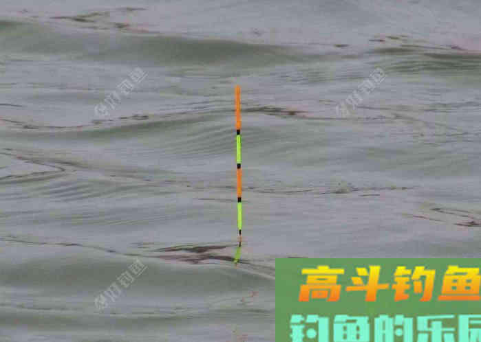 钓鱼如何调钓？调高钓低还是调低钓高