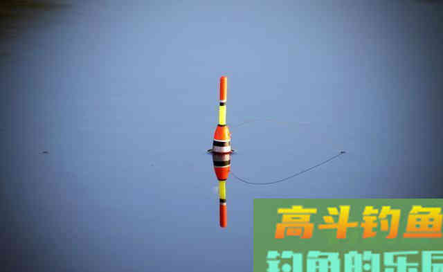 用加粗尾浮漂野钓，调漂不对难上鱼