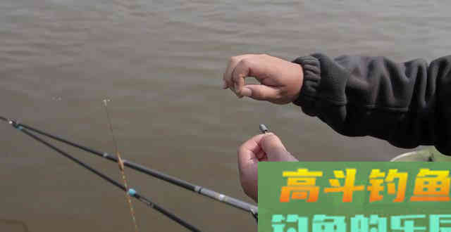 什么鱼情用调低钓高？啥鱼情用调高钓低？