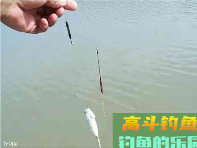 浮漂调平水的钓鱼的优势与要点