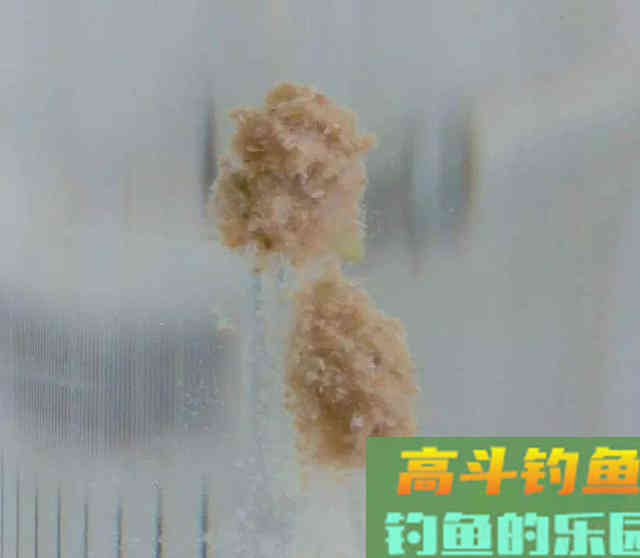 鱼口轻时不好钓？那也要看线组如何搭配，如何调漂