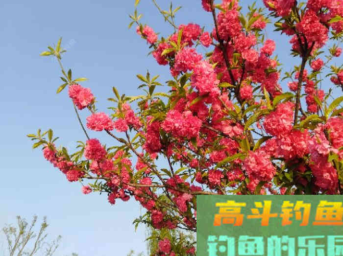 闲谈下野钓调漂的问题