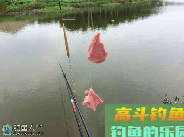 带饵调漂法的优劣势与操作步骤