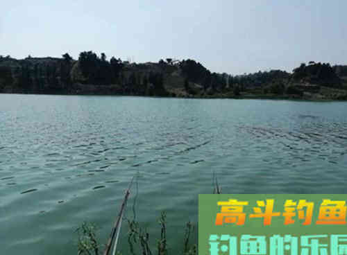 秋季野钓调漂是钓灵，还是钓钝？教你两招，