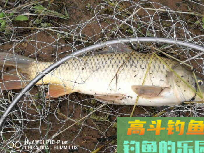 常用调漂技巧，钓好鱼从调漂开始