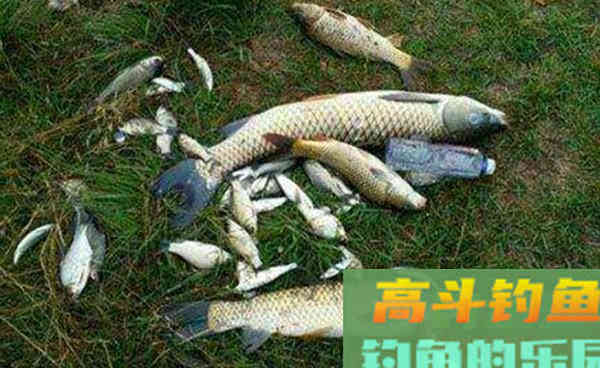 野钓调漂的精髓在于应变，秋季钓鱼应该这样调漂