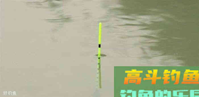 钓鱼不要教条，2步调好漂，就是这么简单