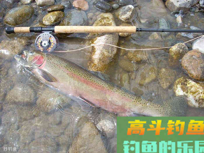 冬季钓鲫鱼应该如何正确地调漂