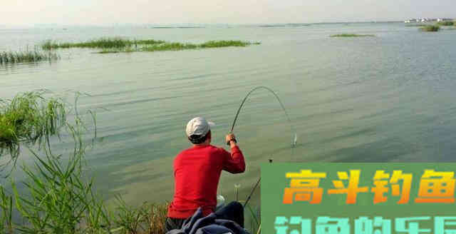 钓鱼新手还把见漂动速提竿当做自豪事？钓手咋看