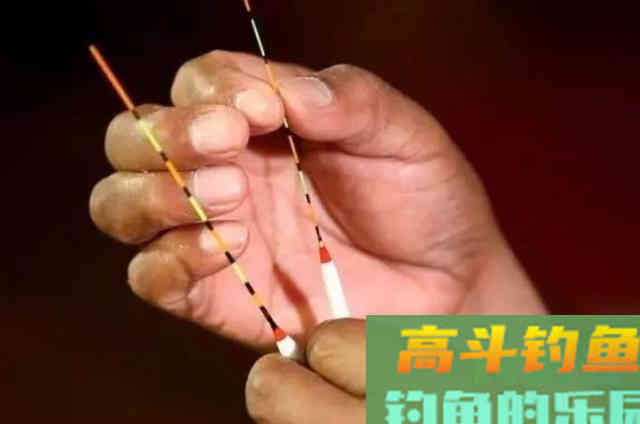 冬钓板鲫，究竟钓灵好还是钓钝更合适？看完解惑