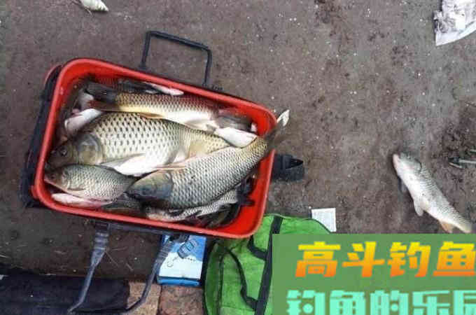 夏季野钓鲤鱼几个常用的调漂方法