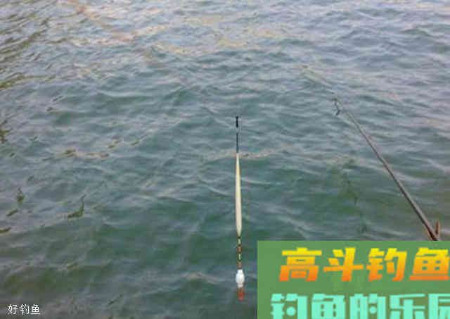 6种漂相判断起竿时机