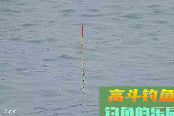 野钓调漂的两大疑问，其实调漂很简单