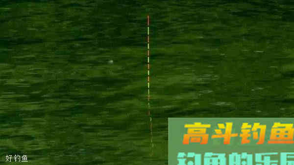 五个步骤，有效解决钓鱼调漂问题