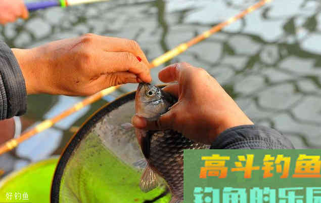 夏季野钓找底技巧，新手必学
