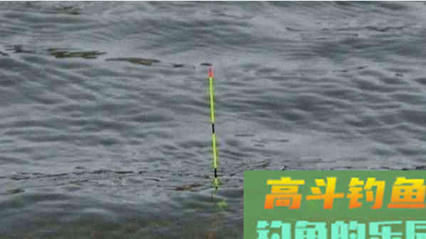 调钓不建议随时都操作，遇到这几种情况就要