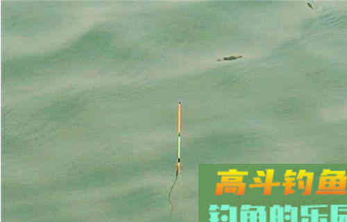 调四钓二的误区及一些调漂小建议