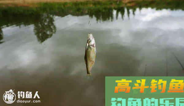 降低小鱼影响漂讯信号的四个方法
