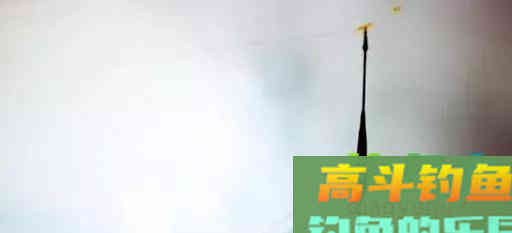 秋季野钓，调个漂让你手忙脚乱
