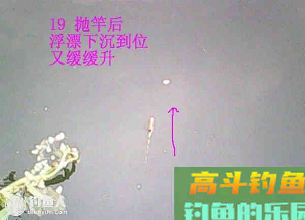 图解鲫鱼的常见咬钩信号漂像