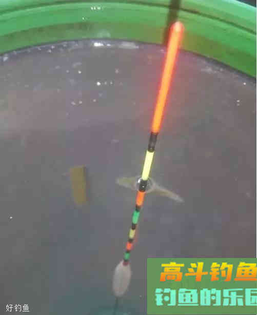 半水调漂挂蚯蚓饵的7个步骤
