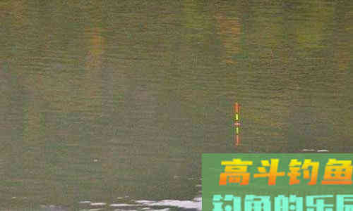 野钓鲫鱼调漂的3个简单技巧