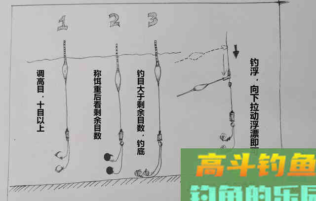 离底钓浮漂调钓之精髓，鱼情变化之反向验证手段