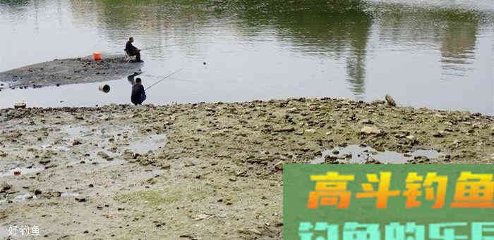 浮漂不出动作或有动作不中鱼，怎么办