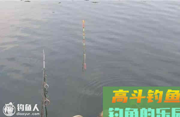 底钓鲫鲤的常见浮漂动作分析