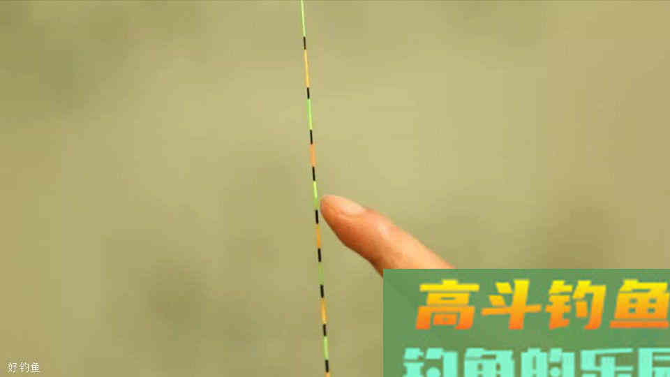 调漂到底调几钓几？老司机专业分析