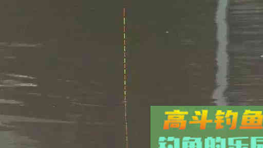 拉饵太轻不压漂，怎么调漂才能精准找底，且保底钩触底