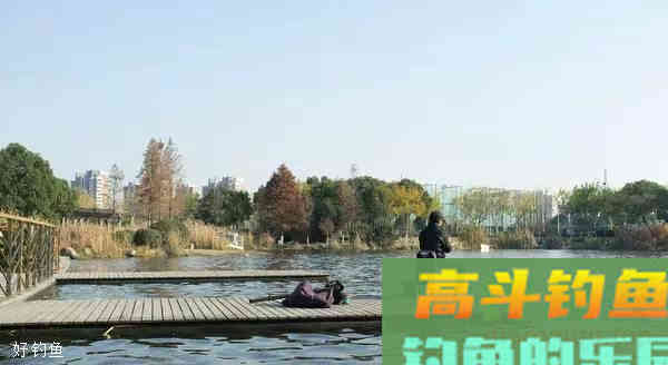 调钓之钓钝与钓灵的精辟解说