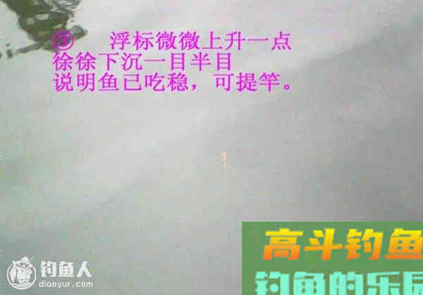 图解鲫鱼的常见咬钩信号漂像