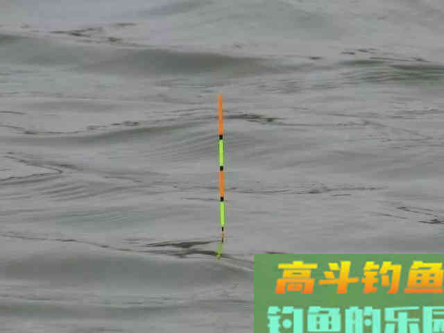 自从学会调漂渔获就差了？只是进入误区
